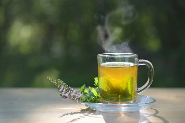People enjoying herbal tea tasting session with various herbs